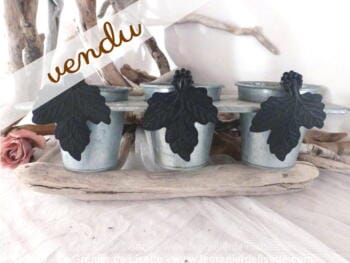 Trio de pots en zinc  avec trèfle noir
