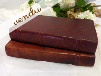 Lot de 2 livres en cuir rouge