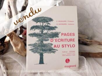 Cahier pages d'écriture CE2