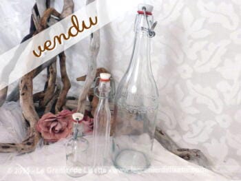 Lot de 3 bouteilles avec capsule