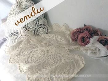 Bande de dentelle aux volutes