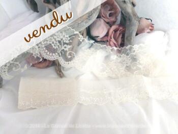 Dentelle fine lot G