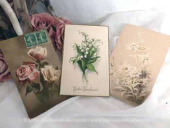 Trois cartes postales anciennes de fleurs.
