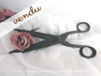 Ancienne paire de ciseaux de couturière avec patine rouille authentique.