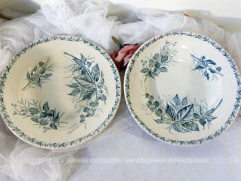 Duo d'assiettes creuses du modèle 