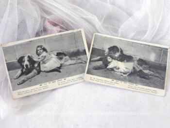 Lot de deux anciennes cartes postales de 1906 sur « Lili et son chien » .