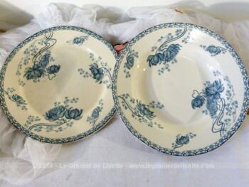 VENDU - Duo d'assiettes Sarreguemines D et C modèle Royat