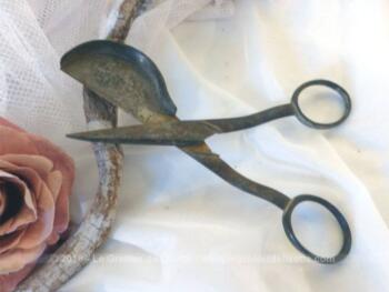 Voici une ancienne petite paire de ciseaux mouchette datant de la fin du XIX° ou début XX°, utilisée pour éteindre les bougies.