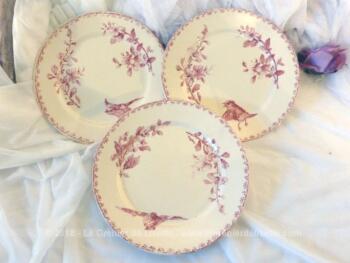 Trois assiettes Sarreguemines Digoin, modèle Favori, avec un décor rose de fleurs et d'oiseau différents pour chaque assiette de 21 cm de diamètre.