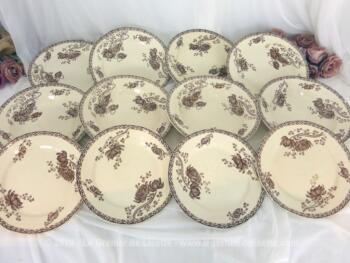 Lot de 4 assiettes plates, creuses et dessert Sarreguemines Royat de couleur sépia. soit 12 assiettes. C'est un modèle avec une frise sur le pourtour et des dessins de pivoines .