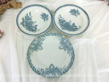 Trio anciennes assiettes dessins bleus en faïence St Amand, deux assiettes creuses modèle Margot et une assiette plate modèle Colombier.