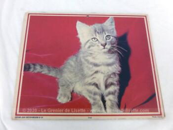 Ancien almanach des P.T.T. de 1976 avec la photo d'un Berger Allemand d'un coté et d'un chat de l'autre et 2 feuillets supplémentaires sur les services de la Poste.