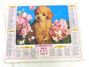 Ancien almanach des P.T.T. de 1977 Caniche