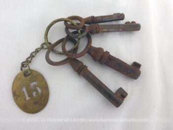 Quatre anciennes petites clés anciennes accompagnées d'une plaque ovale en laiton gravée du numéro 15 mesurent de 4.5 cm à 5.5 cm de long.