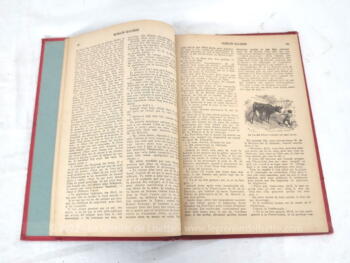 Ancien livre "Romain Kalbris" d'Hector Malot de 1923 – Image 5