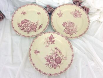 Voici un trio d'assiettes en porcelaine H et C Sarreguemines modèle Alma de 24 cm de diamètre aux décors de fleurs roses différents sur chaque assiette.