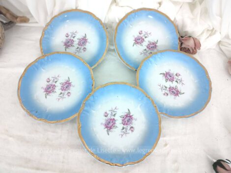 Très tendance shabby, voici un lot de cinq assiettes en Porcelaine Wawel Made in Poland avec un dégradé de bleu et décorées de fleurs roses au centre.