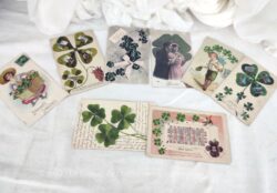 Voici un superbe lot de 8 cartes postales anciennes, presque toutes centenaires sur le thème du Trèfle Porte Bonheur.