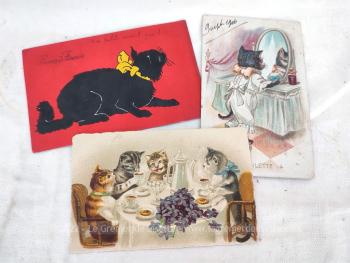 Voici un lot de 3 cartes postales ayant pour thème les Chats avec une carte  de 1906, une de 1923 et une sans date. Mais dans tous les cas, d'adorables dessins de chats ! 