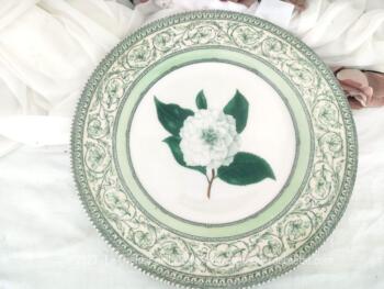 Superbe assiette plate décorative  et de collection de 27.5 cm de diamètre estampillée  'The Royal Horticultural Society Applebee Collection" représentant une fleur blanche au centre avec des dessins de belles volutes vertes sur tout le pourtour.