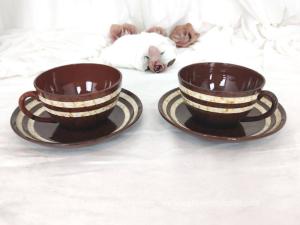 Voici un tête à tête vintage de tasses à chocolat en Sarreguemines avec le modèle Mary composé de 2 tasses et sous-tasses assorties.