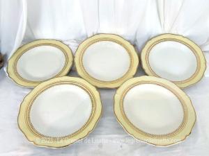 Lot 5 assiettes creuses paille et or Gien modèle Paimpol