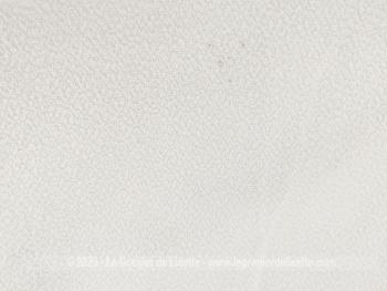 Duo d'adorables serviettes de 58x 90 cm en éponge blanches brodées des monogrammes LT en bleu.