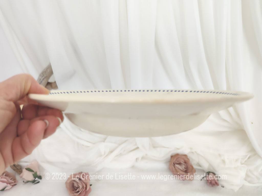 Lot 5 assiettes creuses Badonviller rose bleue – Image 3