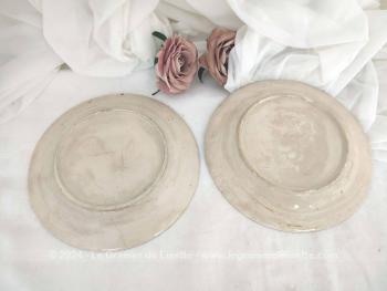 Très tendance shabby,  voici un duo d'assiettes à dessert Duo décorées de légumes, tomates pour l'une et radis pour l'autre,  peints main. Petits éclats sur les bordures mais tellement original !