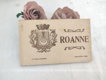 Voici un duo de livrets de cartes photos anciennes de la ville de Roanne au tout début XX°, avec un livret de 12 photos et un de 11 photos. Pour les nostalgiques de la ville de Roanne !