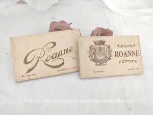 Duo livrets cartes photos anciennes de Roanne début XX°