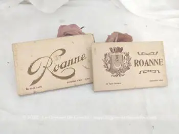 Voici un duo de livrets de cartes photos anciennes de la ville de Roanne au tout début XX°, avec un livret de 12 photos et un de 11 photos. Pour les nostalgiques de la ville de Roanne !
