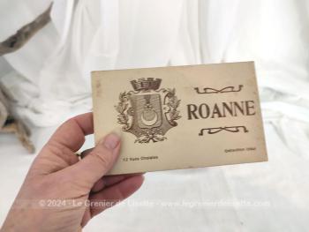 Voici un duo de livrets de cartes photos anciennes de la ville de Roanne au tout début XX°, avec un livret de 12 photos et un de 11 photos. Pour les nostalgiques de la ville de Roanne !