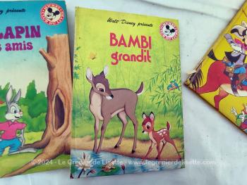 En bon état, voici quatre livres pour enfants de la serié 