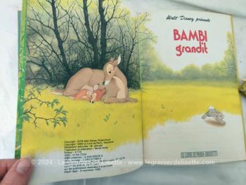 En bon état, voici quatre livres pour enfants de la serié "Wald Disney présente"  du "Club du livre Mickey" avec Dingo au Far West, Bambi grandit, Bibi Lapin et ses amis et Pluto Détective, imprimé de 1979 à 1982. Idéal pour se replonger dans les souvenirs de notre enfance..