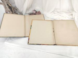 Duo livres histoire Louis XV et Vercingétorix de 1939
