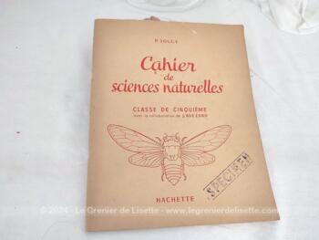 Ancien 