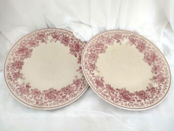 Voici un duo d'assiettes plates vraiment tendance shabby estampillé 