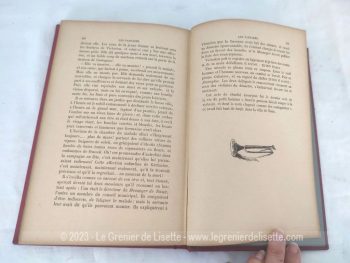 Avec une tranche dorée à l'or fin, voici un beau livre de la Bibliothèque des Ecoles et des Familles édité en 1898, écrit par Louise Mussat avec 3 romans, Le Champ d'Honneur, La Bien-Acquise et Les Fanfare, le tout sur 189 pages et illustré par 15 gravures.
