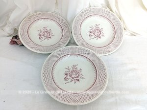 Trio assiettes creuses shabby « English Style » Luneville France