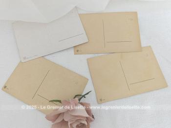 Voici un lot de quatre cartes postales anciennes avec sur chacune un dessin de fleurs mis en valeur par un écusson coloré sur un fond blanc cassé.  Datant du début du siècle dernier, elles seront faciles à mettre en valeur.