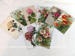 Sept cartes postales anciennes fleurs dessins signés