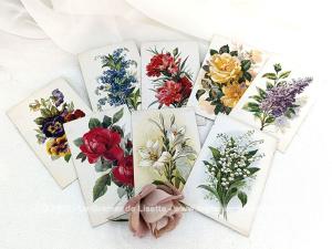 Huit cartes postales anciennes fleurs années 20/30 par P.J. GALLAIS et Cie