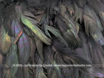 Taille 42,  voici une belle jupe courte, élégante et théâtrale à la fois, toute en plumes noires aux reflets irisés, portant l'étiquette de la marque  française reconnue pour ses créations audacieuses 