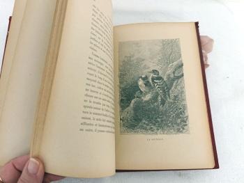 Livre Une Poignée d'Amis par Désiré Lacroix avec 20 dessins d'oiseaux – Image 9