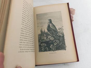 Livre Une Poignée d'Amis par Désiré Lacroix avec 20 dessins d'oiseaux – Image 10