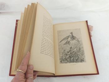 Livre Une Poignée d'Amis par Désiré Lacroix avec 20 dessins d'oiseaux – Image 12