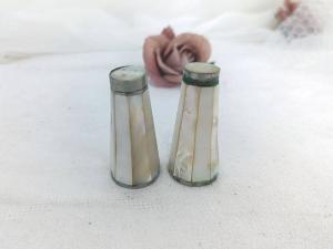 Petites salière et poivrière nacre et métal argenté