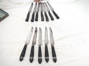 Coffret 12 couteaux 2 modèles manche corne et garde argenté