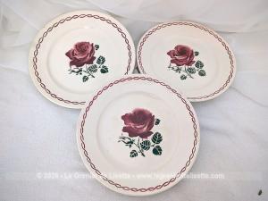 Trio assiettes Badonviller modèle Germaine avec au centre avec ses feuilles couleur chocolat, une grande rose couleur rose foncé tout comme la guirlande sur la bordure.